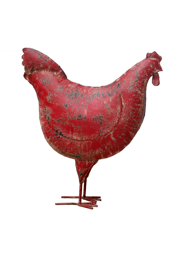 GALLINA HIERRO ROJO