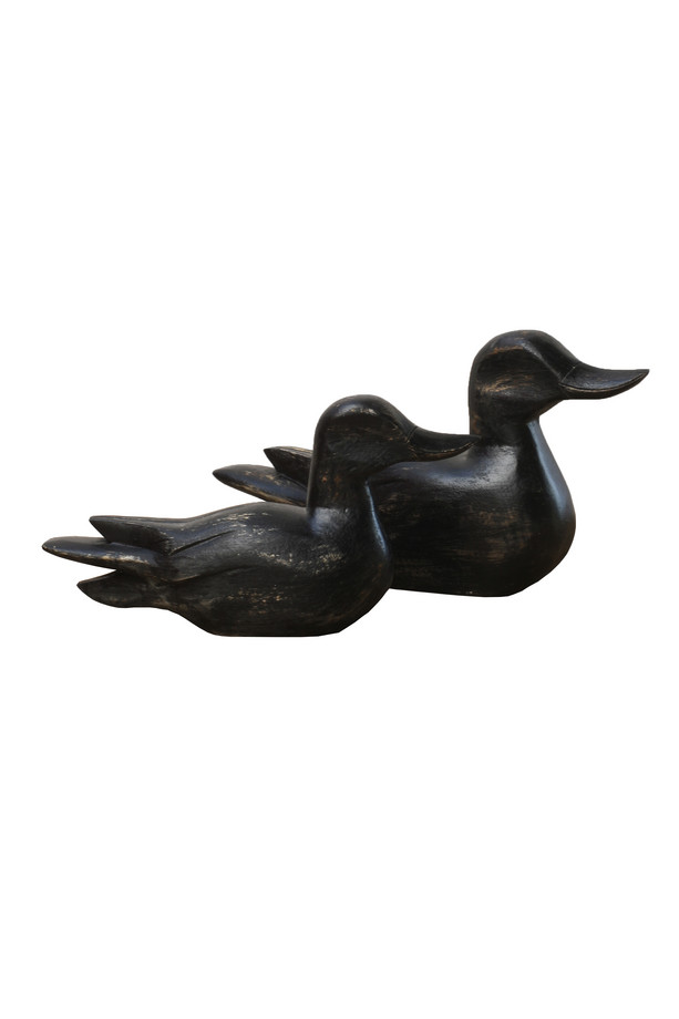 PATO PQ.  MADERA NEGRO